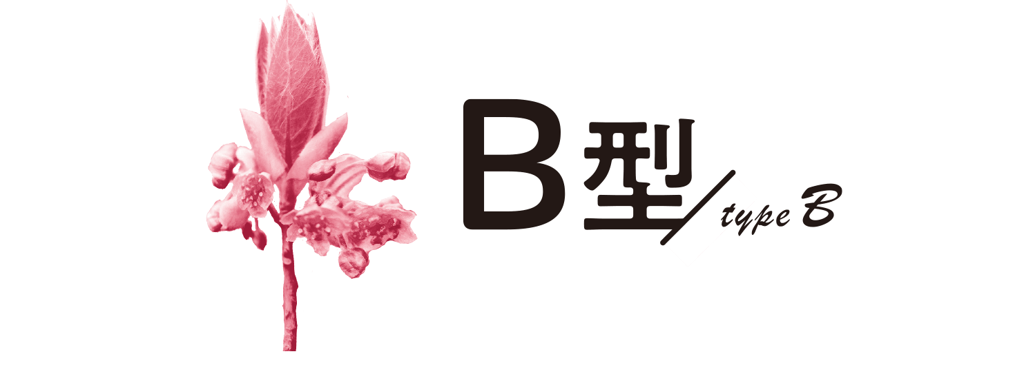 B型／typeB